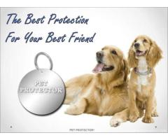 Pet Protector Disc - Healthy Anti-Parasite Protection for Pets